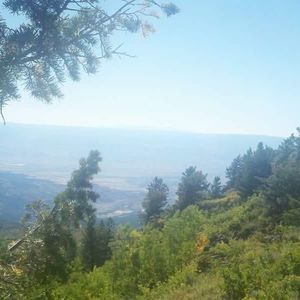 Meet your Posher, Billie